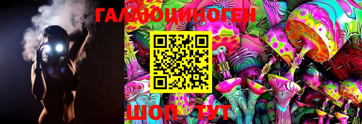 Псилоцибиновые грибы Cubensis Кандалакша